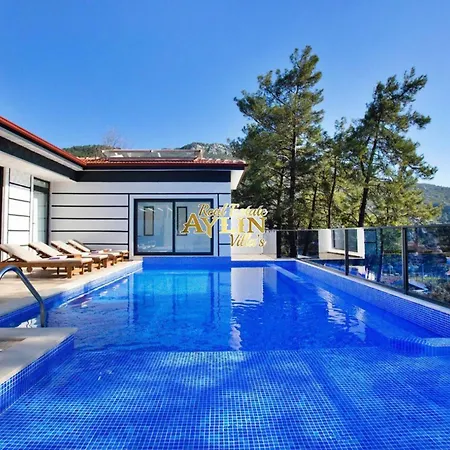 Crystal With Private Pool Bezirgan